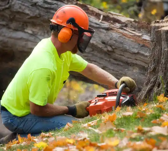 tree services Boonsboro